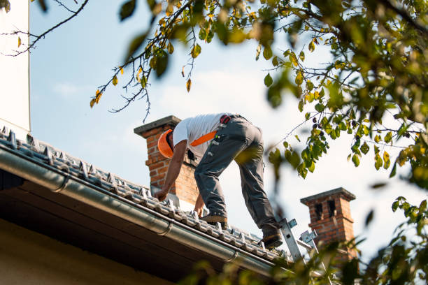 Best Residential Roofing Contractor  in Homer, MI