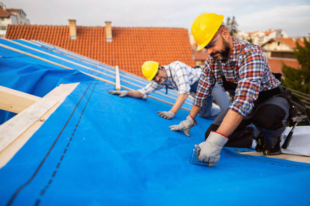 Best Gutter Installation and Roofing  in Homer, MI