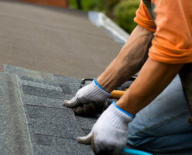 Best Roof Leak Repair  in Homer, MI