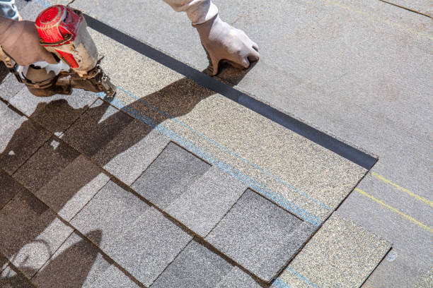 Best Local Roofing Companies  in Homer, MI